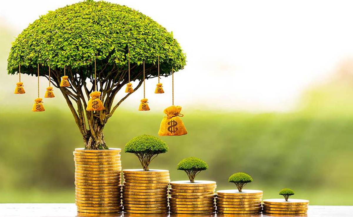diferenças entre sucesso e prosperidade
